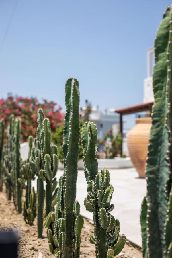 Nόka Suite Apartments Faliraki Exterior photo